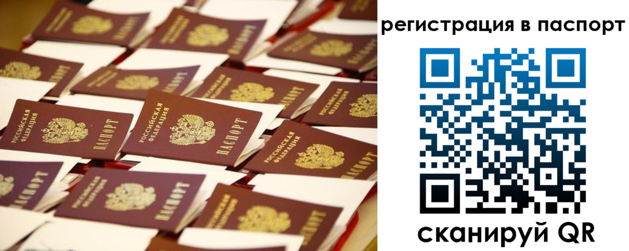 прописка гарантия в Зеленокумске